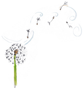 Иллюстрация к книге — Время услышать себя. Практики осознанности, доброты и сострадания к себе на целый год [img_148.jpg]