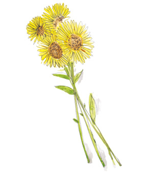 Иллюстрация к книге — Время услышать себя. Практики осознанности, доброты и сострадания к себе на целый год [img_152.jpg]