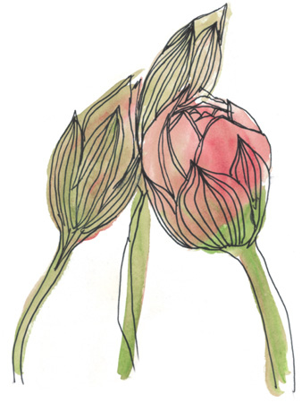 Иллюстрация к книге — Время услышать себя. Практики осознанности, доброты и сострадания к себе на целый год [img_42.jpg]