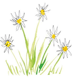 Иллюстрация к книге — Время услышать себя. Практики осознанности, доброты и сострадания к себе на целый год [img_54.jpg]