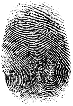 Иллюстрация к книге — Черный чемоданчик Егора Лисицы [i_004.jpg]