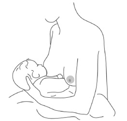 Иллюстрация к книге — Подарок на всю жизнь [i_012.jpg]