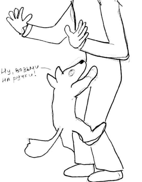 Иллюстрация к книге — Хорошая собака плохой породы не бывает [i_014.jpg]