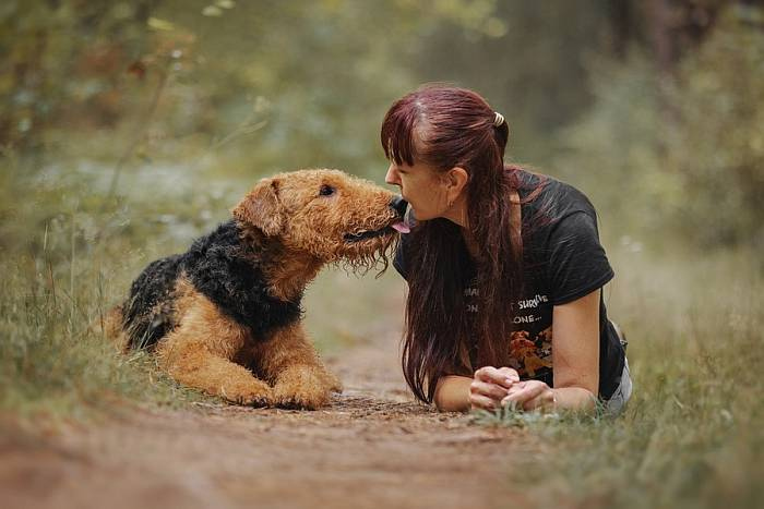 Иллюстрация к книге — Хорошая собака плохой породы не бывает [i_021.jpg]