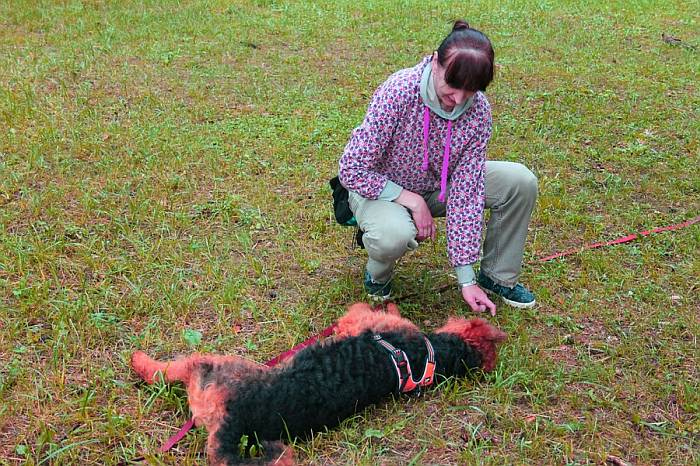 Иллюстрация к книге — Хорошая собака плохой породы не бывает [i_023.jpg]