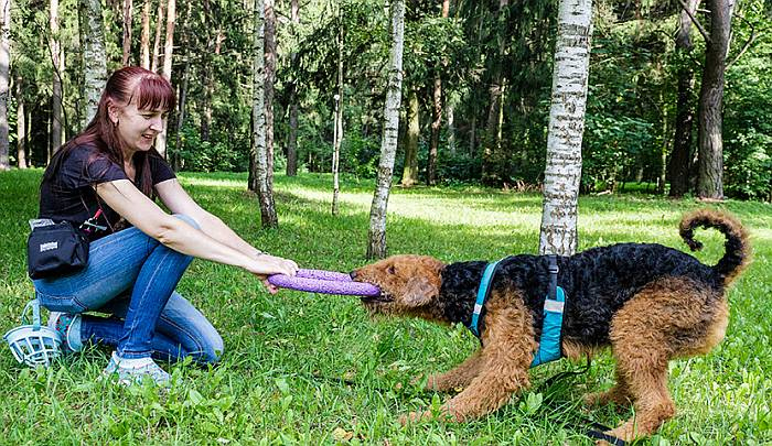 Иллюстрация к книге — Хорошая собака плохой породы не бывает [i_053.jpg]