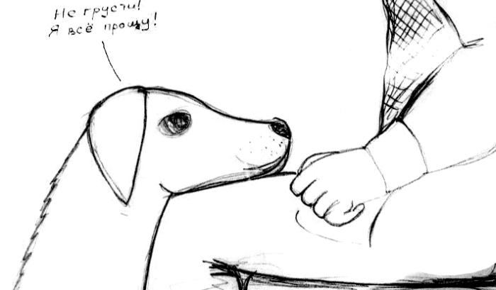 Иллюстрация к книге — Хорошая собака плохой породы не бывает [i_057.jpg]