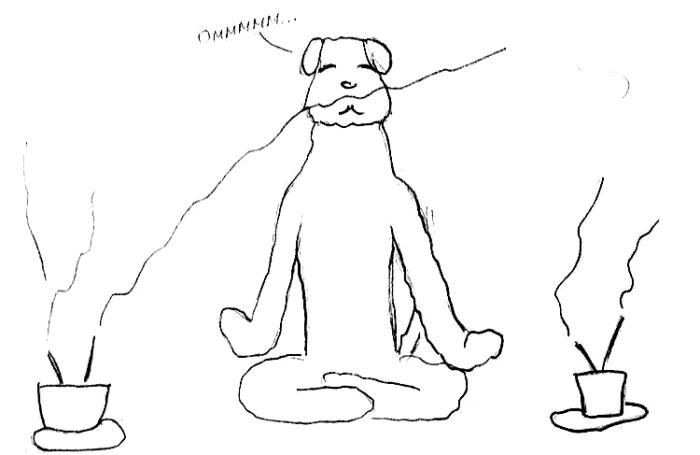 Иллюстрация к книге — Хорошая собака плохой породы не бывает [i_072.jpg]