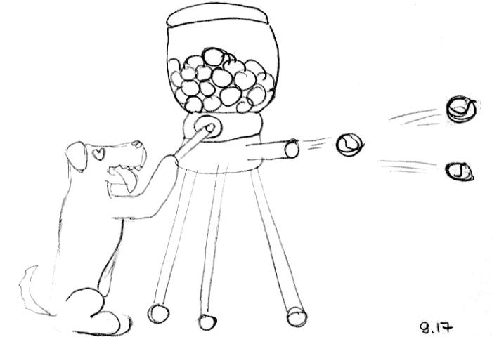 Иллюстрация к книге — Хорошая собака плохой породы не бывает [i_096.jpg]