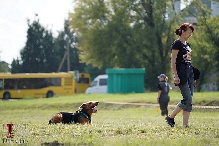 Иллюстрация к книге — Хорошая собака плохой породы не бывает [i_101.jpg]