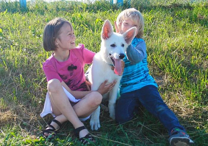 Иллюстрация к книге — Хорошая собака плохой породы не бывает [i_112.jpg]