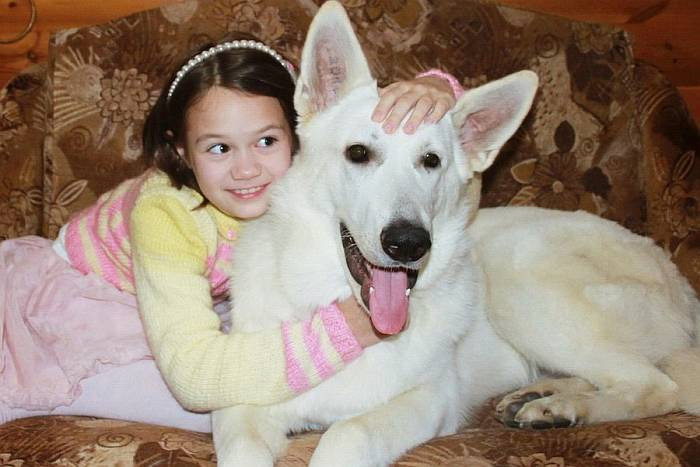 Иллюстрация к книге — Хорошая собака плохой породы не бывает [i_113.jpg]