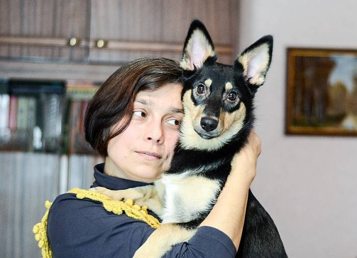 Иллюстрация к книге — Хорошая собака плохой породы не бывает [i_116.jpg]