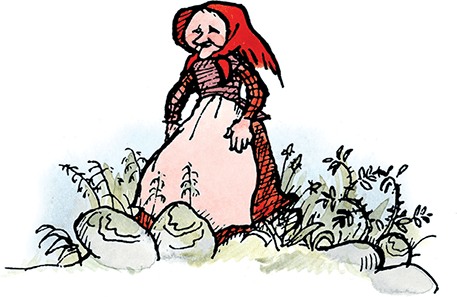 Иллюстрация к книге — Новые проделки Эмиля из Лённеберги [i_001.jpg]