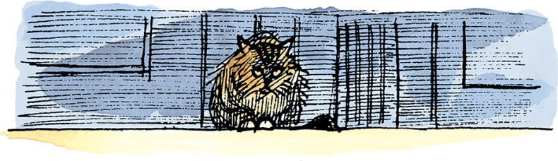 Иллюстрация к книге — Новые проделки Эмиля из Лённеберги [i_012.jpg]