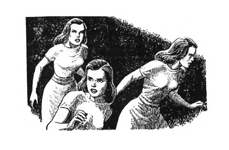 Иллюстрация к книге — Необычный полёт [i_013.jpg]