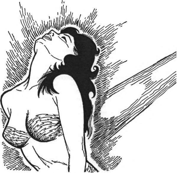 Иллюстрация к книге — Дом, забытый временем [image6.jpg]