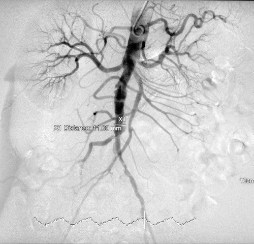 Иллюстрация к книге — Взламывая анатомию [image102.jpg]