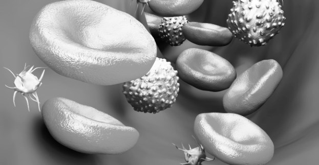 Иллюстрация к книге — Взламывая анатомию [image107.jpg]