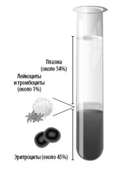 Иллюстрация к книге — Взламывая анатомию [image109.jpg]