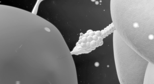 Иллюстрация к книге — Взламывая анатомию [image127.jpg]