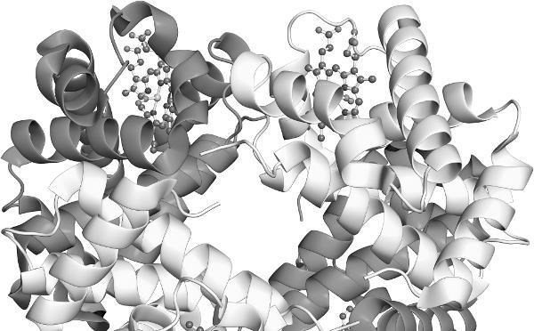 Иллюстрация к книге — Взламывая анатомию [image148.jpg]