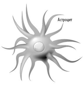 Иллюстрация к книге — Взламывая анатомию [image152.jpg]