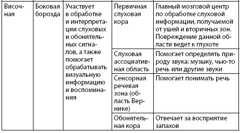 Иллюстрация к книге — Взламывая анатомию [image166.jpg]