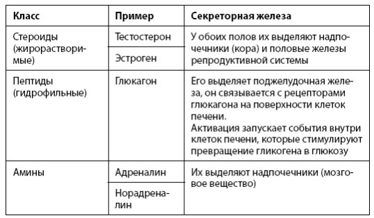 Иллюстрация к книге — Взламывая анатомию [image193.jpg]