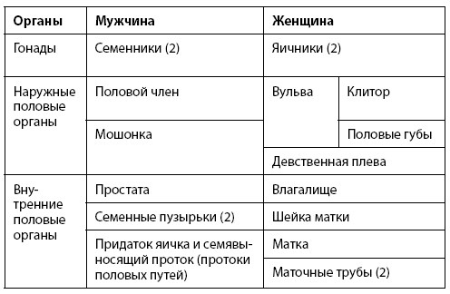 Иллюстрация к книге — Взламывая анатомию [image225.jpg]