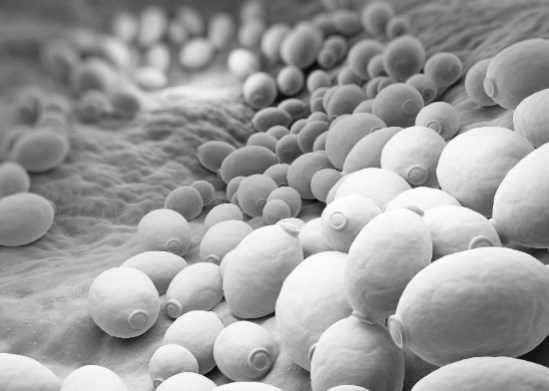 Иллюстрация к книге — Взламывая анатомию [image240.jpg]