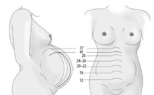 Иллюстрация к книге — Взламывая анатомию [image244.jpg]