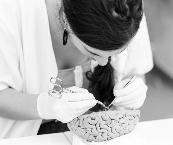 Иллюстрация к книге — Взламывая анатомию [image248.jpg]