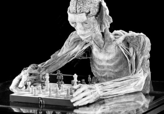 Иллюстрация к книге — Взламывая анатомию [image250.jpg]