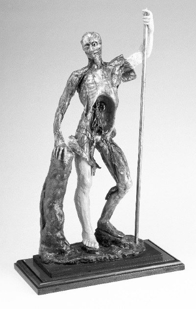 Иллюстрация к книге — Взламывая анатомию [image251.jpg]