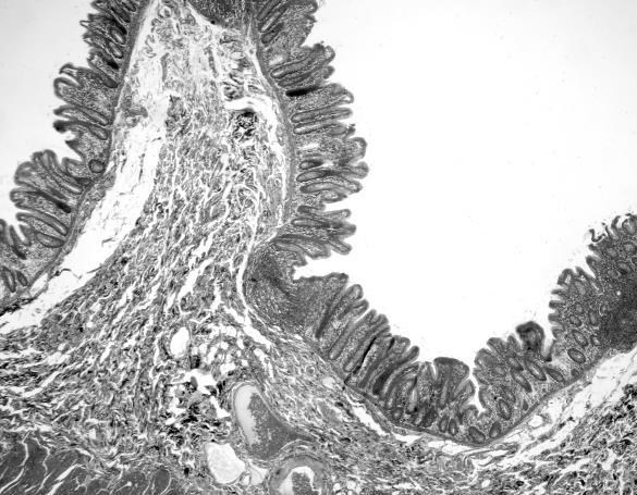Иллюстрация к книге — Взламывая анатомию [image31.jpg]