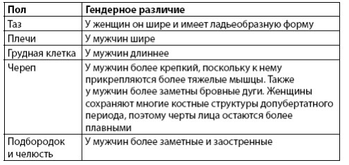 Иллюстрация к книге — Взламывая анатомию [image67.jpg]