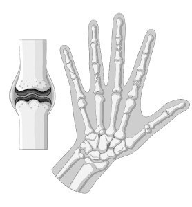 Иллюстрация к книге — Взламывая анатомию [image86.jpg]