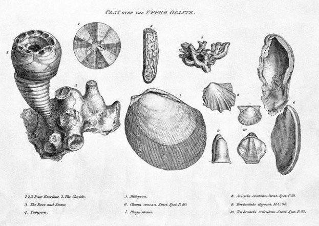 Иллюстрация к книге — Взламывая планету Земля [image107.jpg]