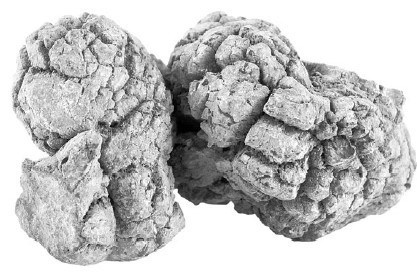 Иллюстрация к книге — Взламывая планету Земля [image117.jpg]