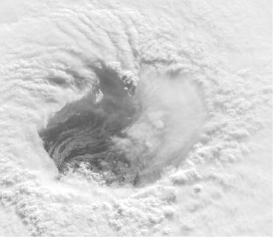 Иллюстрация к книге — Взламывая планету Земля [image140.jpg]