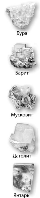 Иллюстрация к книге — Взламывая планету Земля [image183.jpg]