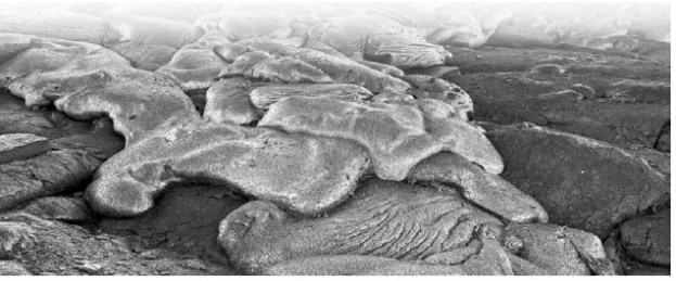 Иллюстрация к книге — Взламывая планету Земля [image196.jpg]