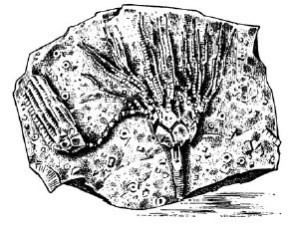 Иллюстрация к книге — Взламывая планету Земля [image2.jpg]