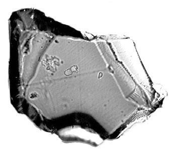 Иллюстрация к книге — Взламывая планету Земля [image229.jpg]