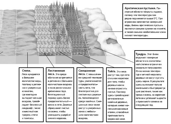 Иллюстрация к книге — Взламывая планету Земля [image248.jpg]