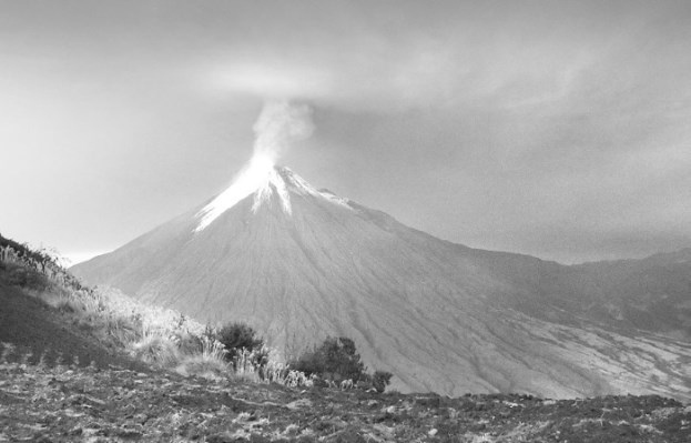 Иллюстрация к книге — Взламывая планету Земля [image254.jpg]