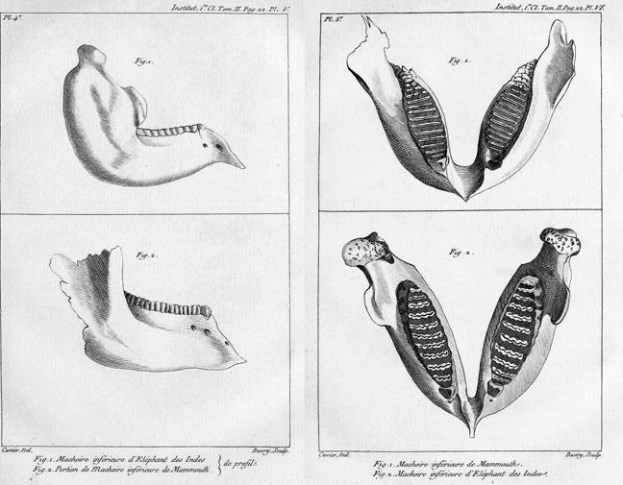 Иллюстрация к книге — Взламывая планету Земля [image99.jpg]