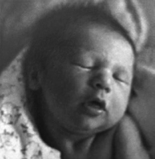 Иллюстрация к книге — Укус эволюции. Откуда у современного человека неправильный прикус, кривые зубы и другие деформации челюсти [i_003.jpg]