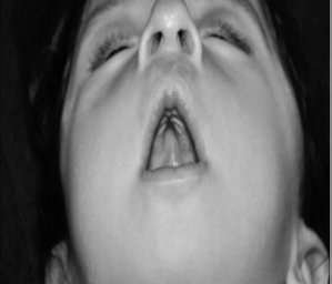 Иллюстрация к книге — Укус эволюции. Откуда у современного человека неправильный прикус, кривые зубы и другие деформации челюсти [i_022.jpg]